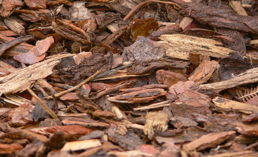 Rindenmulch